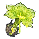 Mật Hoa Sinh Trưởng